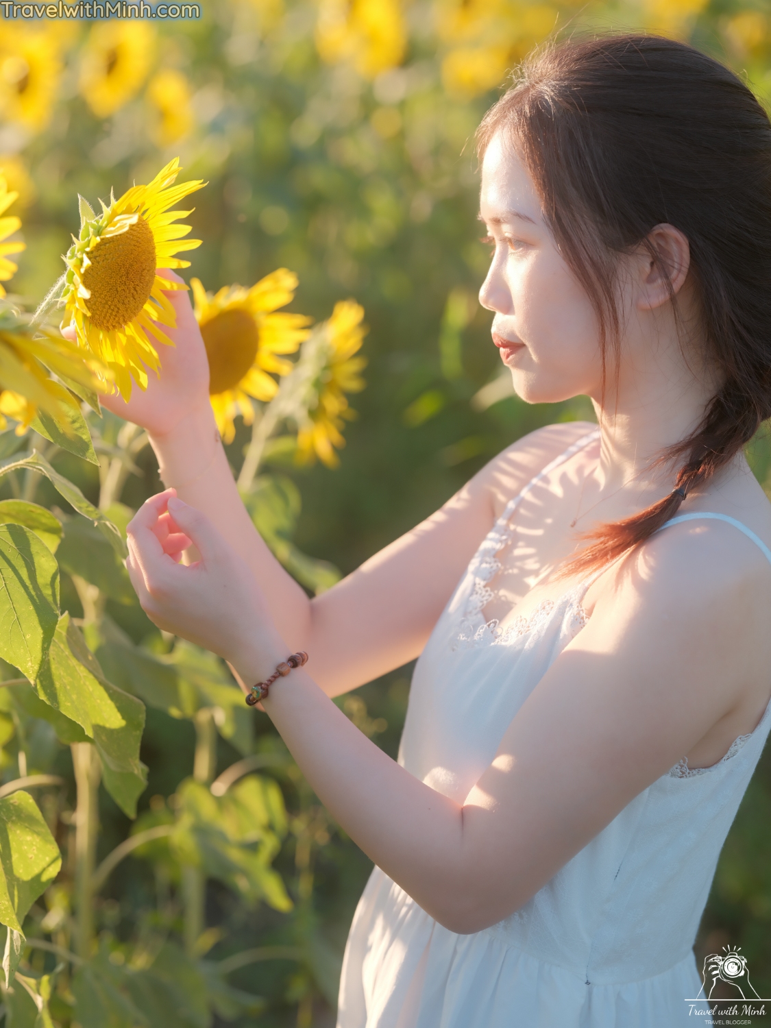 Hoa huong duong ono hyogo (62)