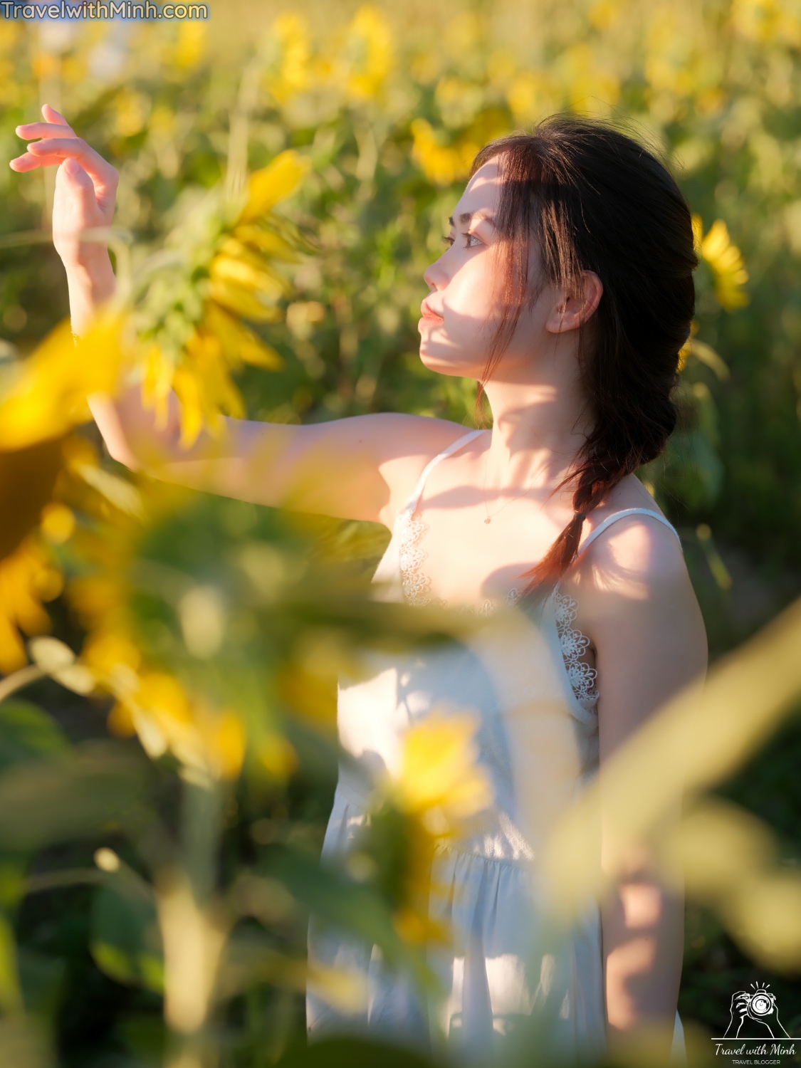 Hoa huong duong ono hyogo (65)