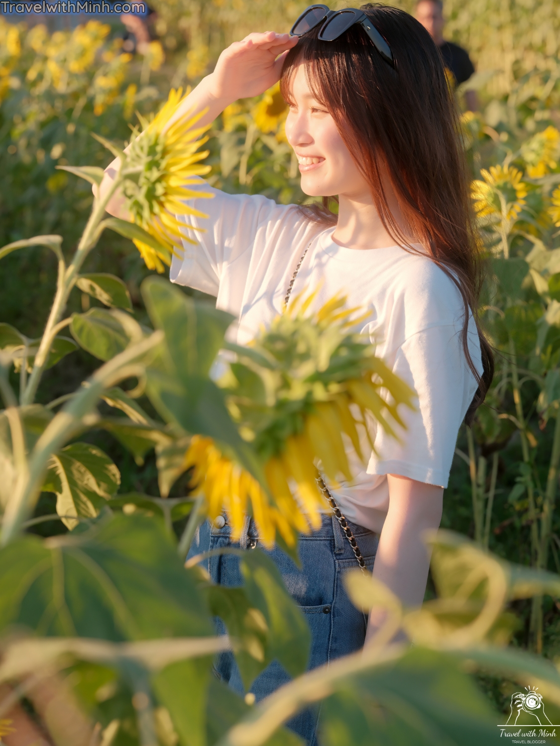 Hoa huong duong ono hyogo (75)