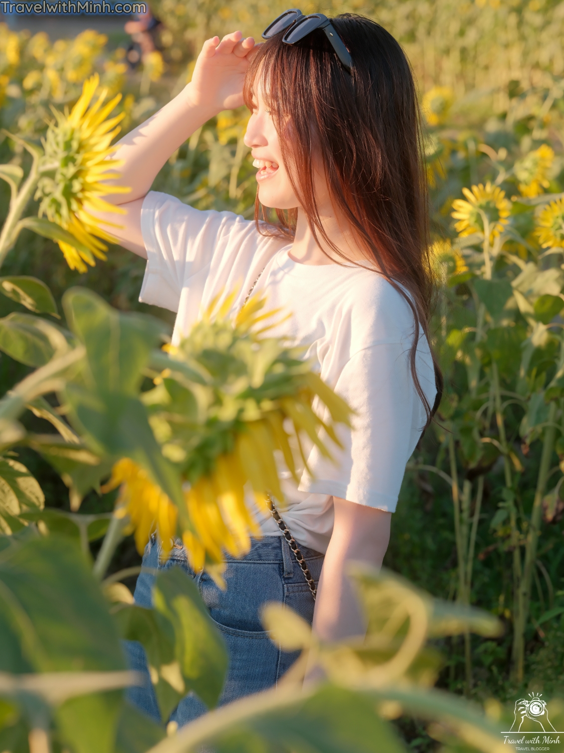 Hoa huong duong ono hyogo (76)