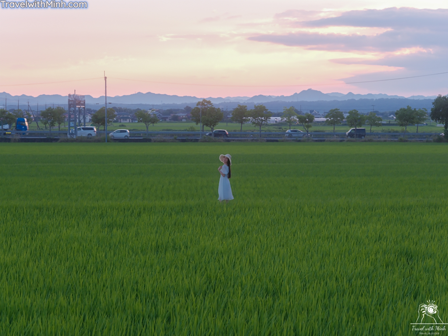 Hoa huong duong ono hyogo (91)