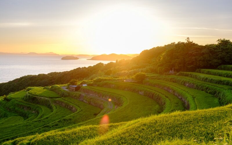 Doya rice terracesdscf1185 enhanced nrbia