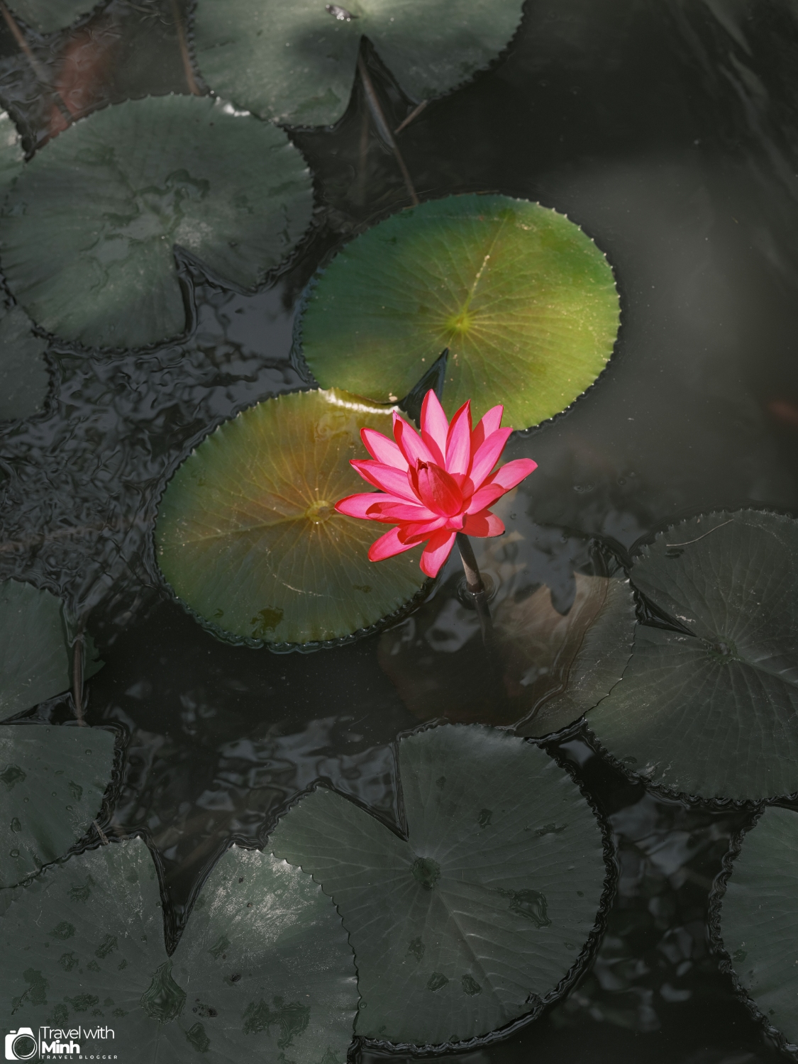 Dia tang phi lai tu ha nam (17)