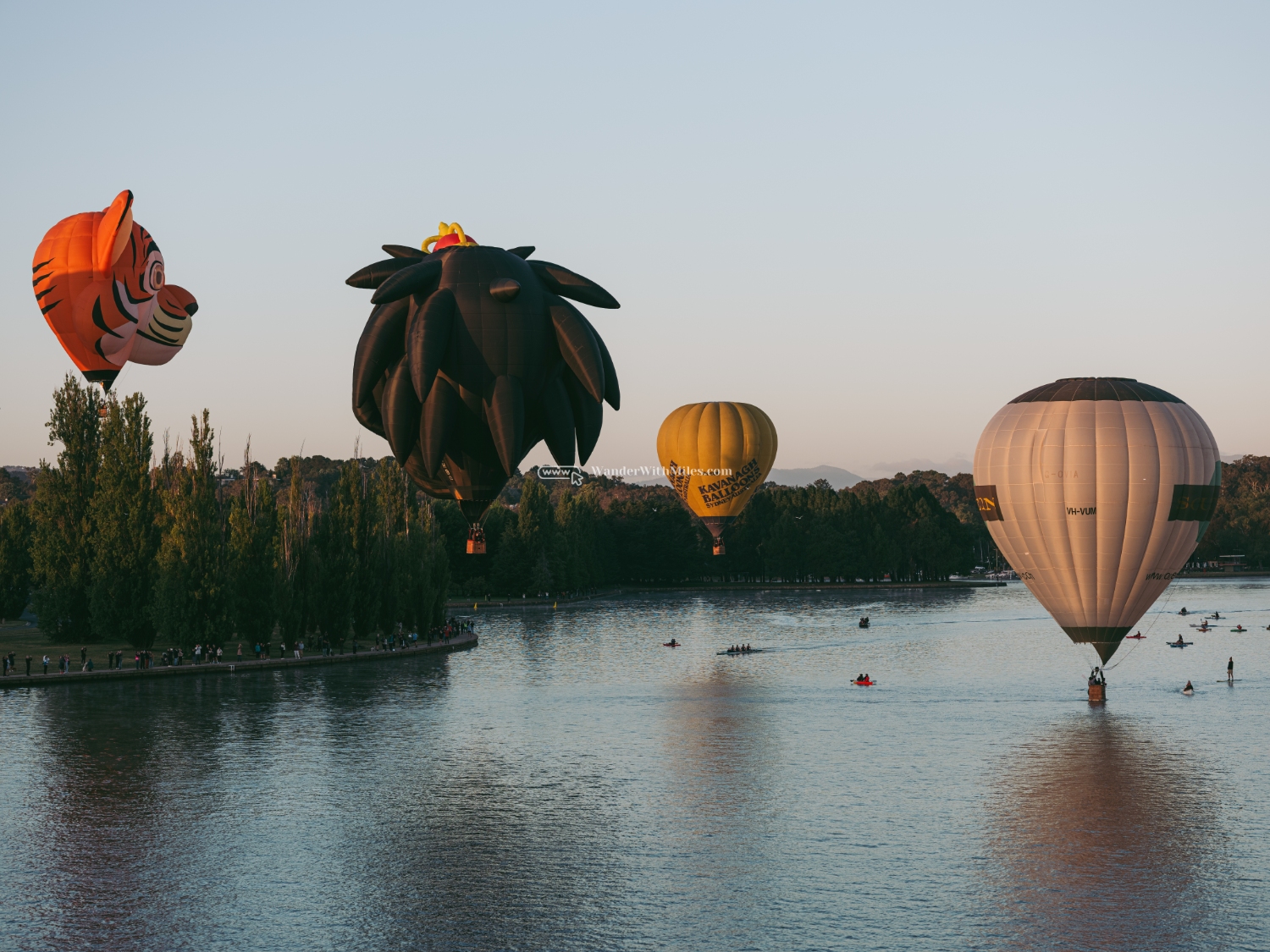 Canberra hot balloon festivaldscf0934