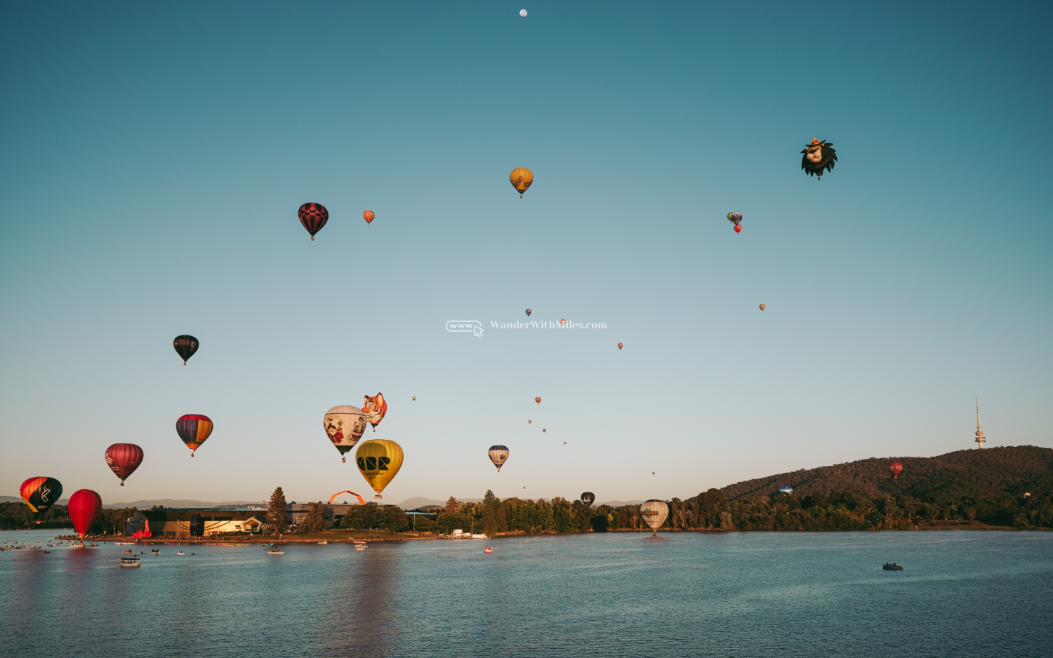 Canberra hot balloon festivaldscf0973