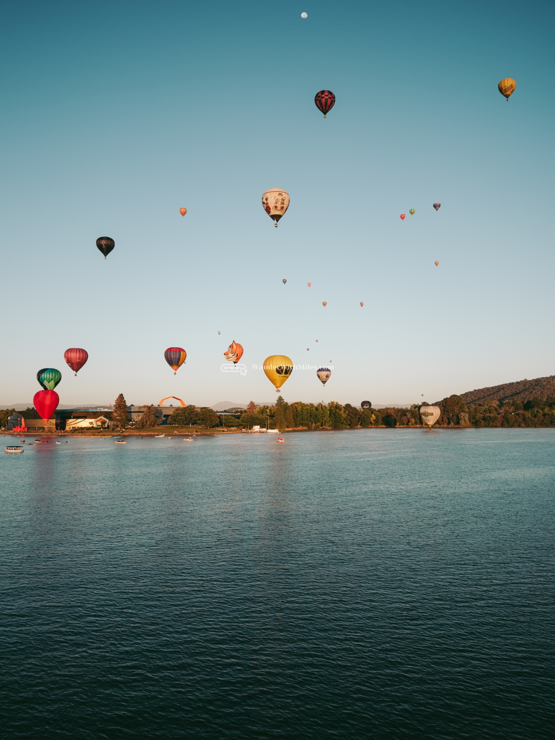 Canberra hot balloon festivaldscf0975