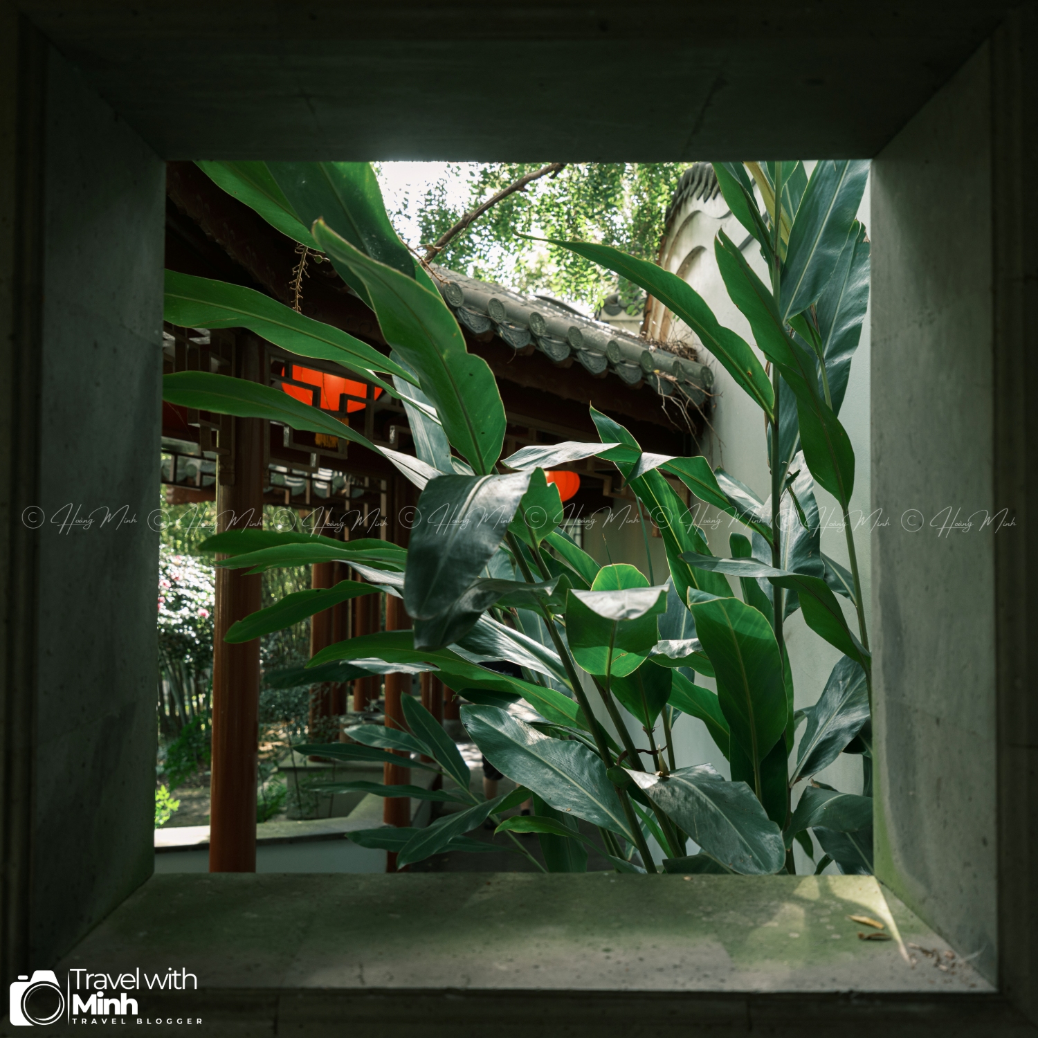 Chinese Garden Sydney Australia (28)