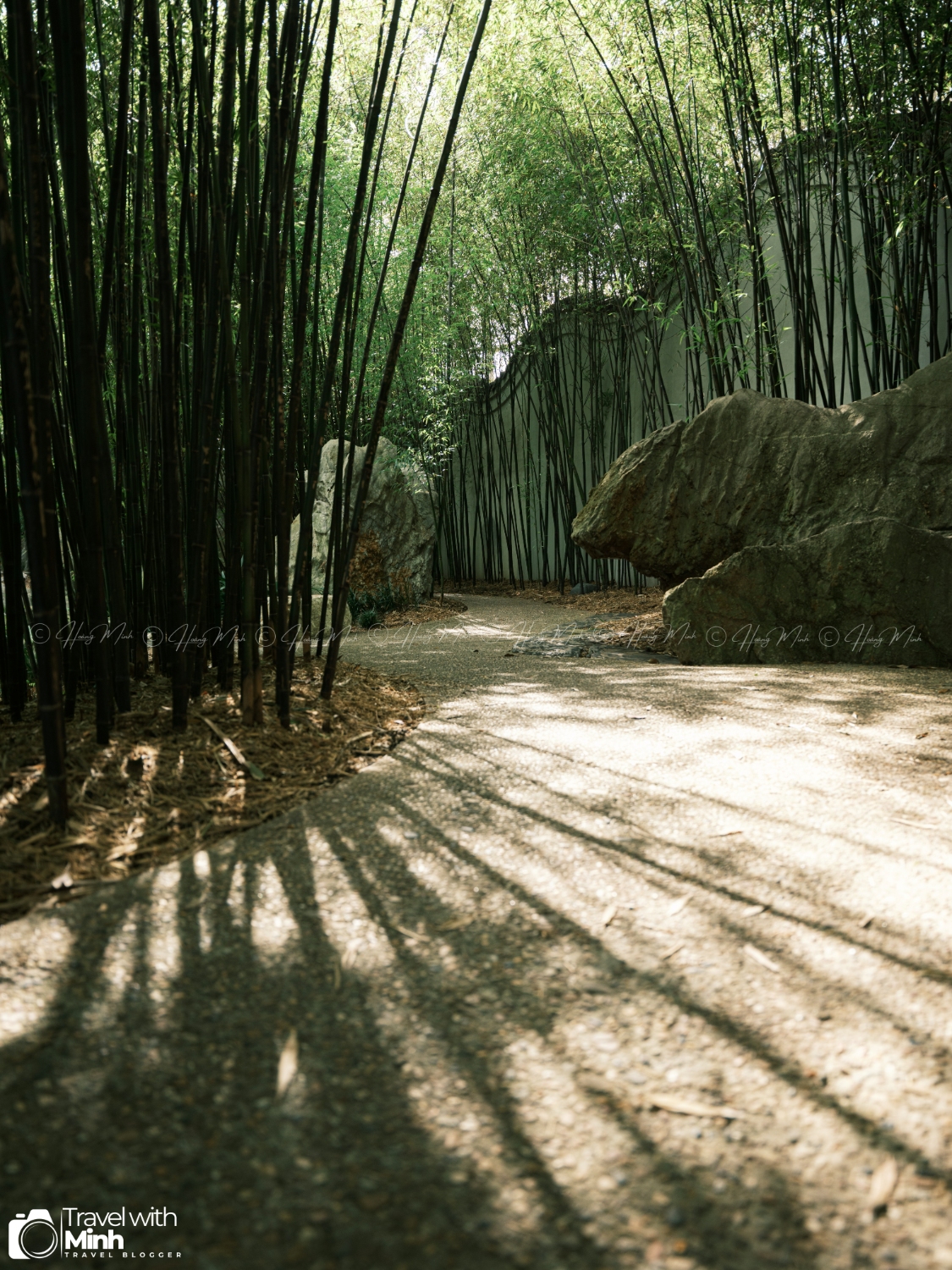 Chinese Garden Sydney Australia (31)
