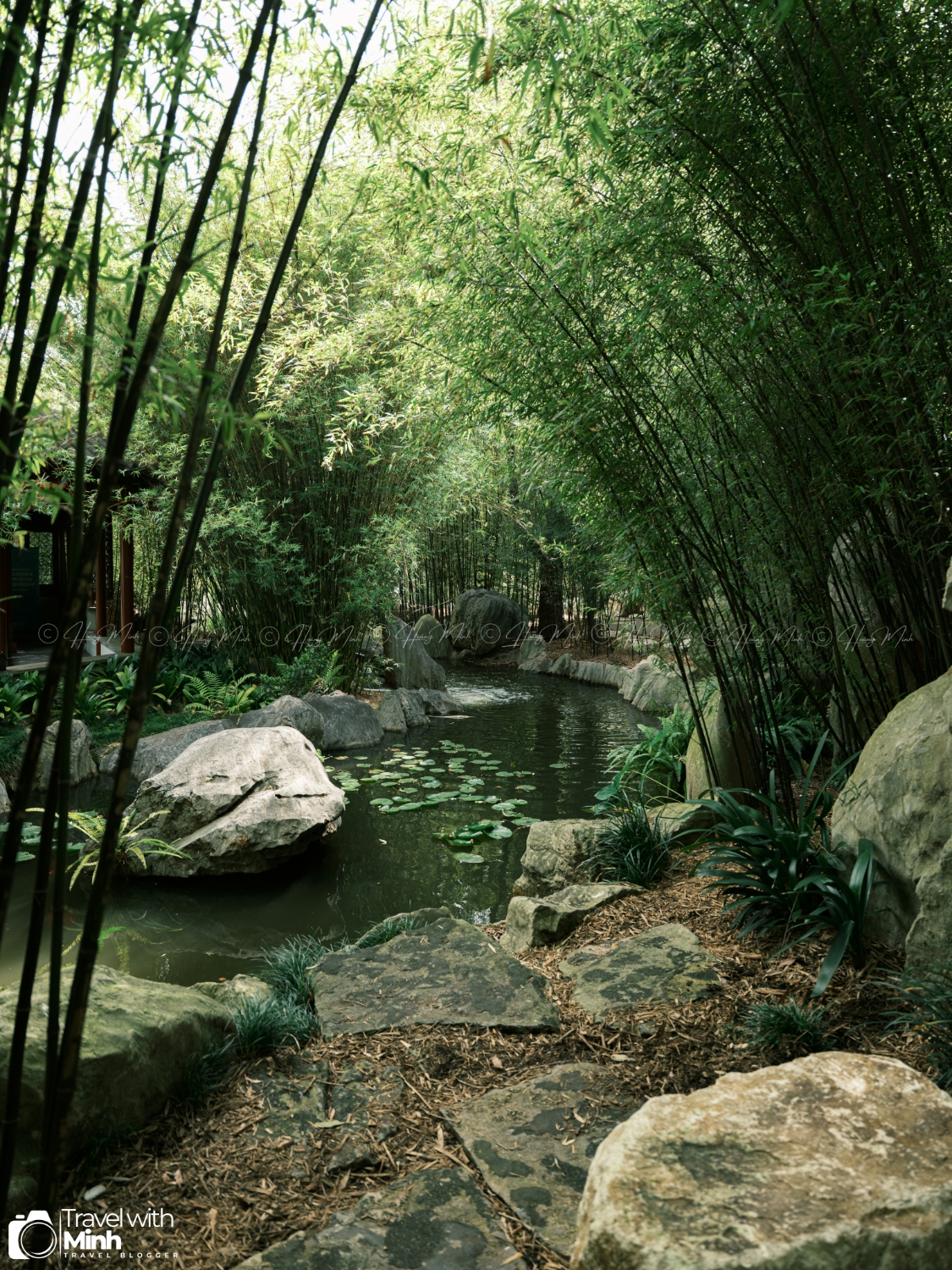 Chinese Garden Sydney Australia (32)