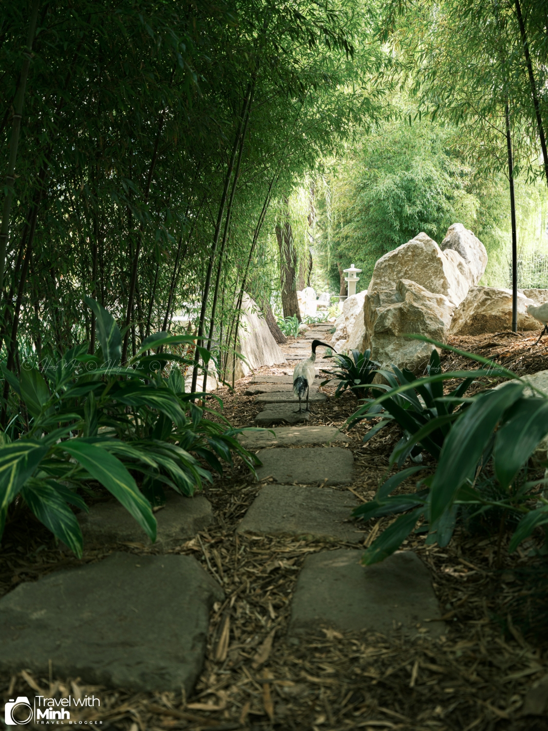 Chinese Garden Sydney Australia (35)