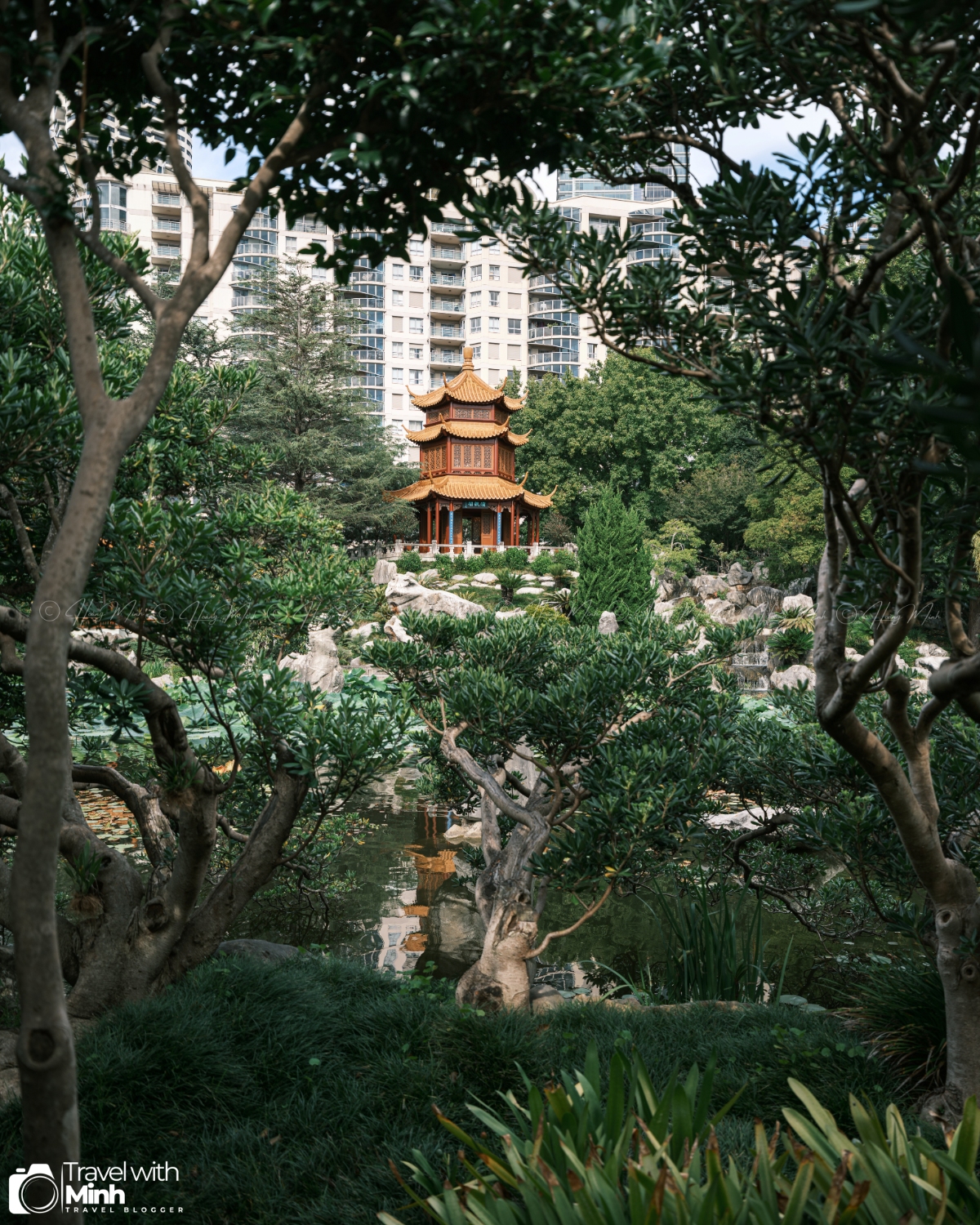 Chinese Garden Sydney Australia (50)