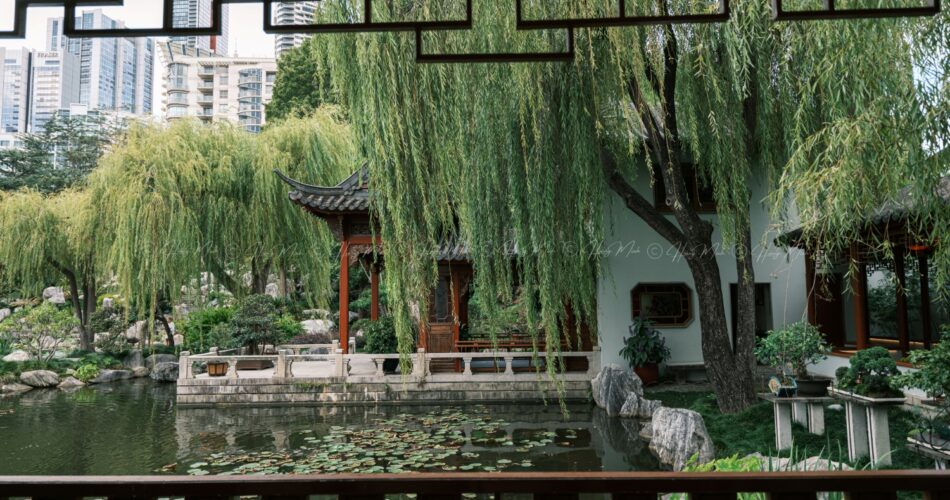 Chinese Garden Sydney Australia (68)