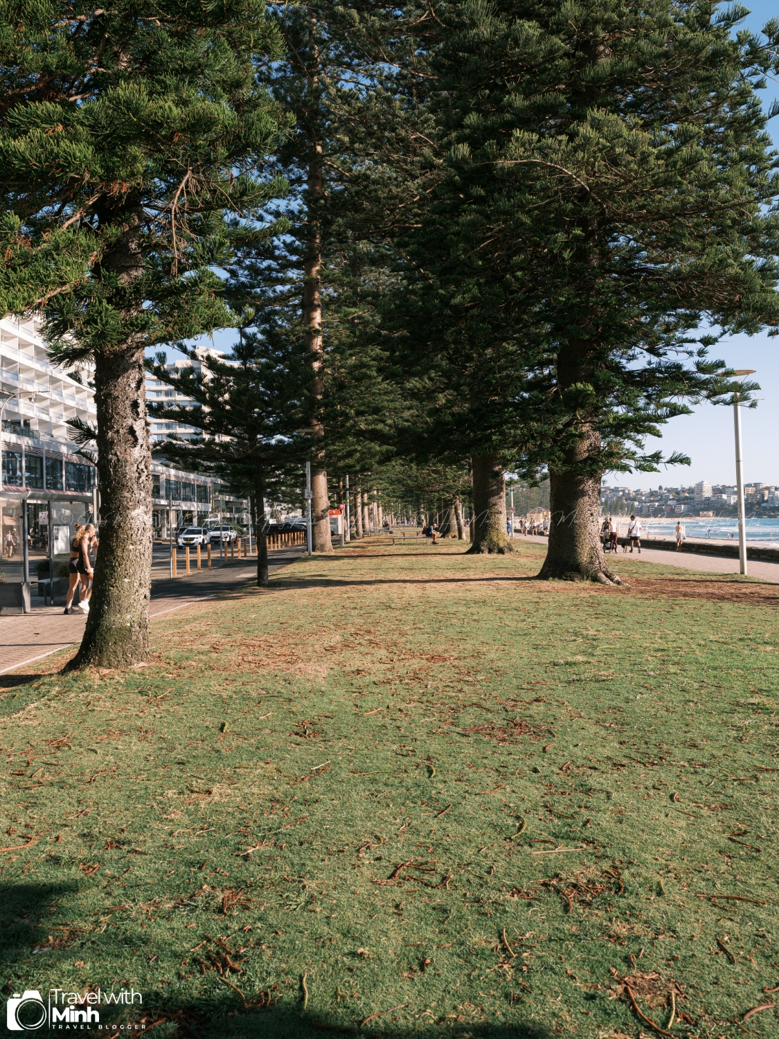 Manly Beach Sydney (7)