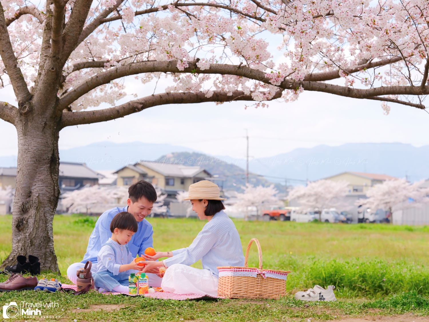 Sakura fujiwara nara (14)