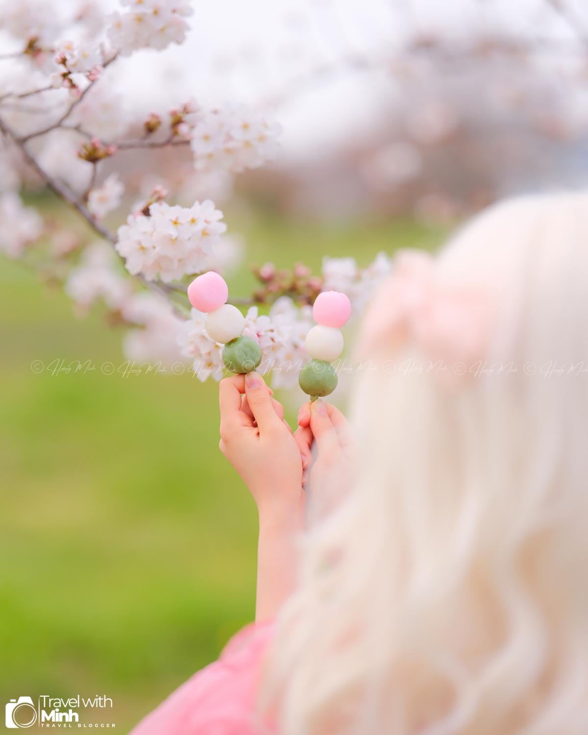 Sakura fujiwara nara (20)