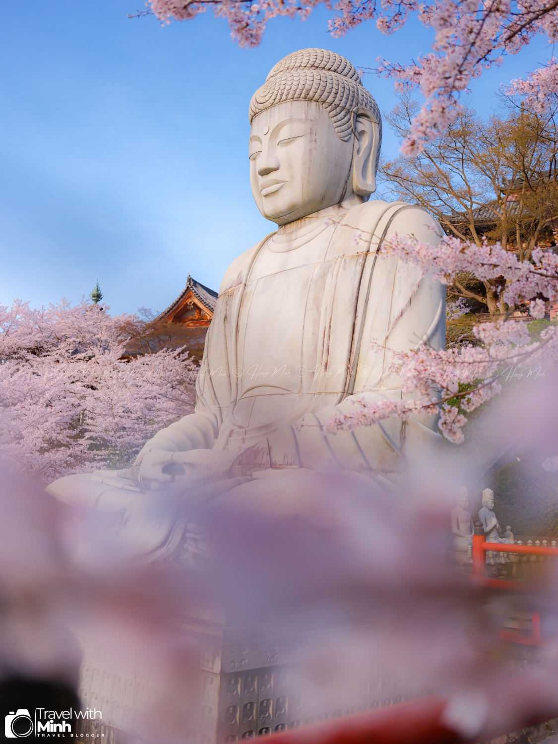 Sakura tsubosaka naradscf6886