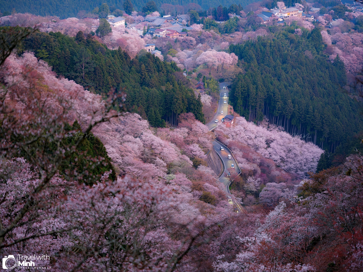 Sakura yoshino naradscf6452 enhanced nr