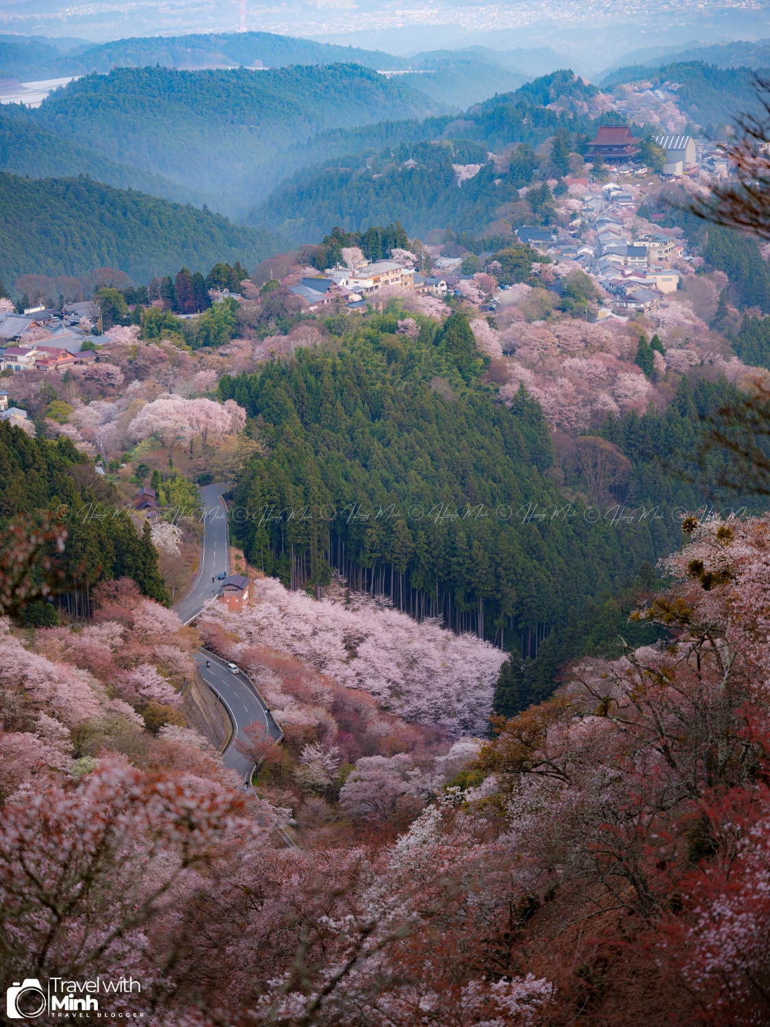 Sakura yoshino naradscf6462 enhanced nr