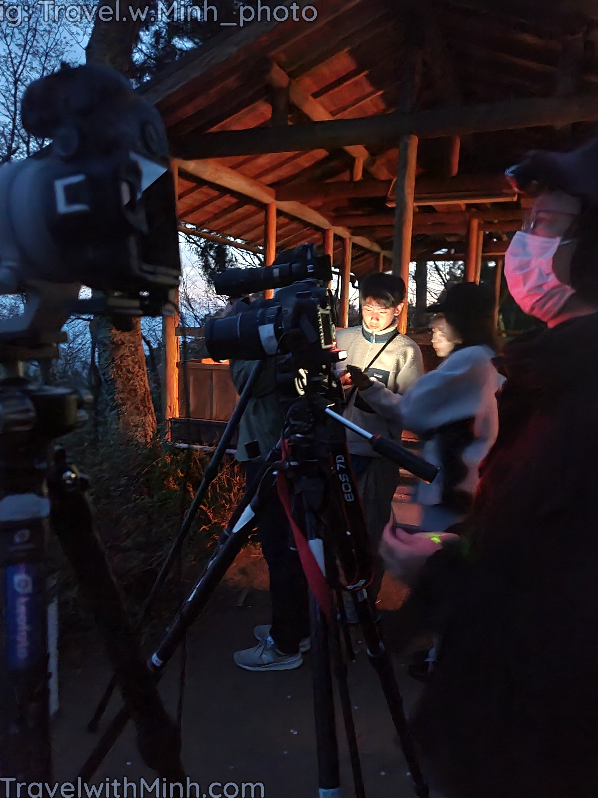 Yoshino world best sakura view spot in the world20240407 050136