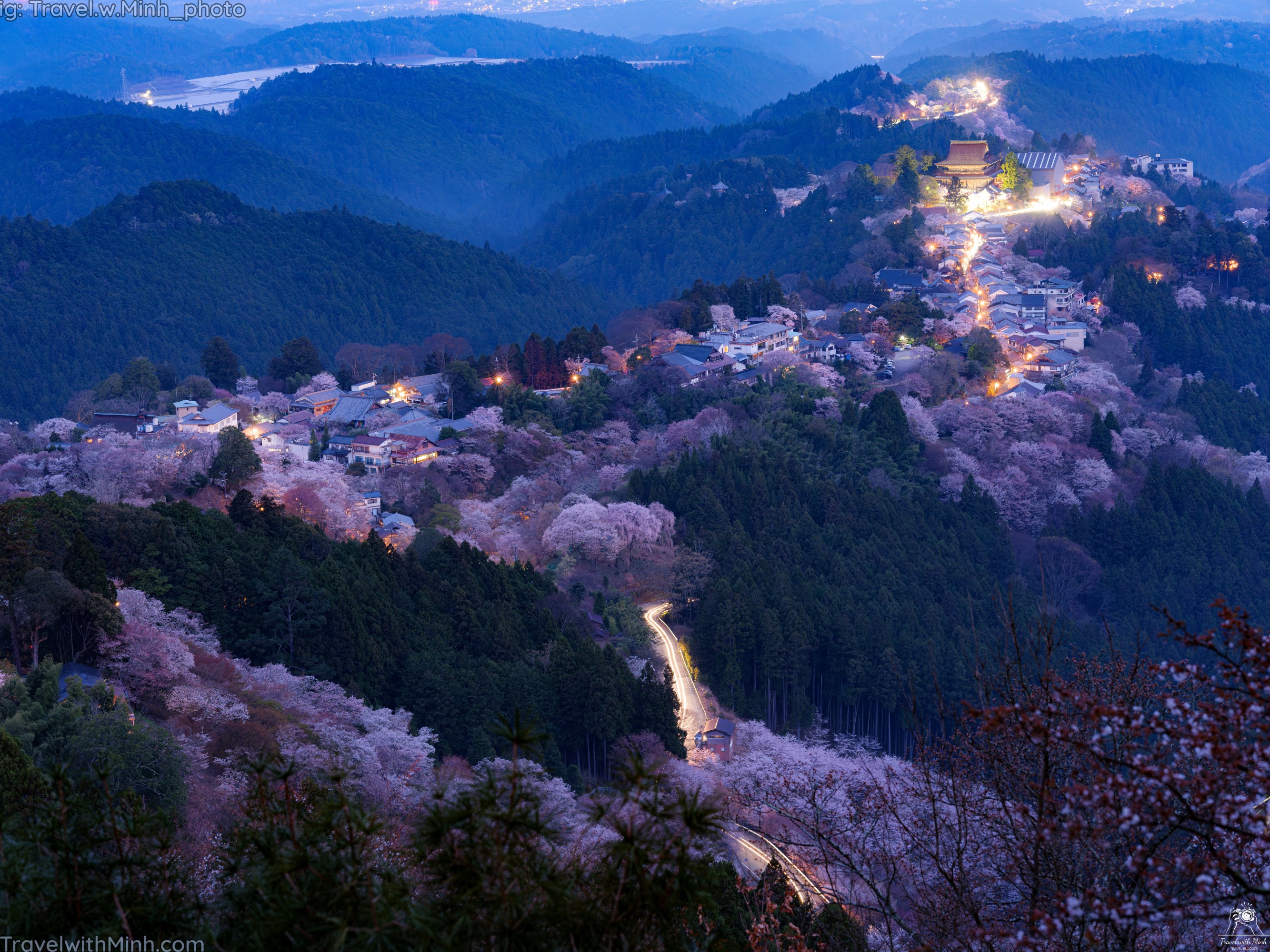 Yoshino world best sakura view spot in the worlddscf6443 enhanced nr