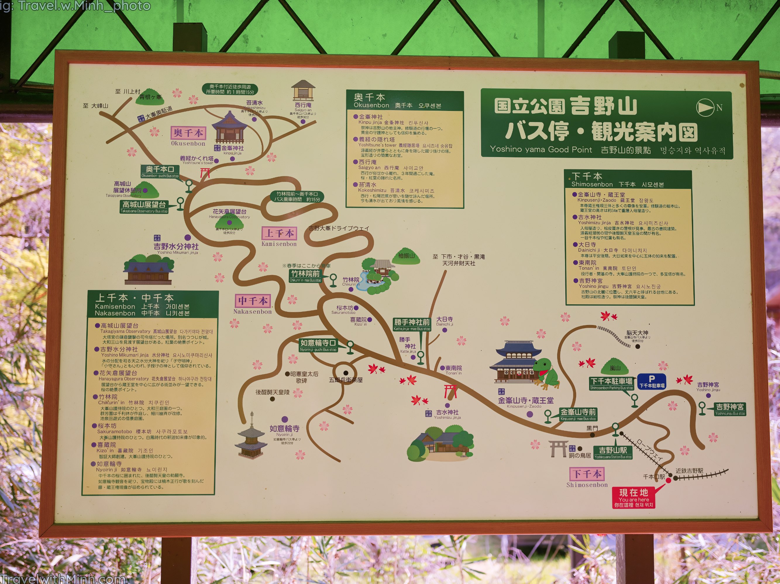 Yoshino world best sakura view spotdscf7648 2