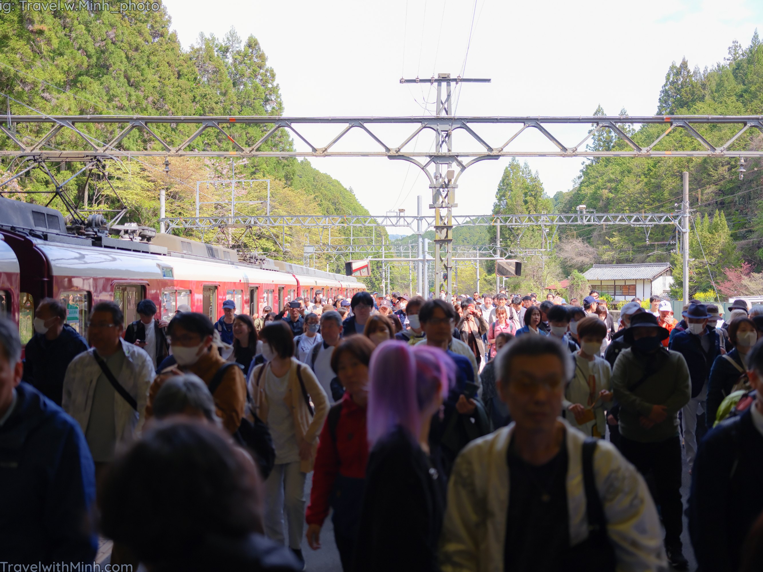 Yoshino world best sakura view spotdscf7653 2