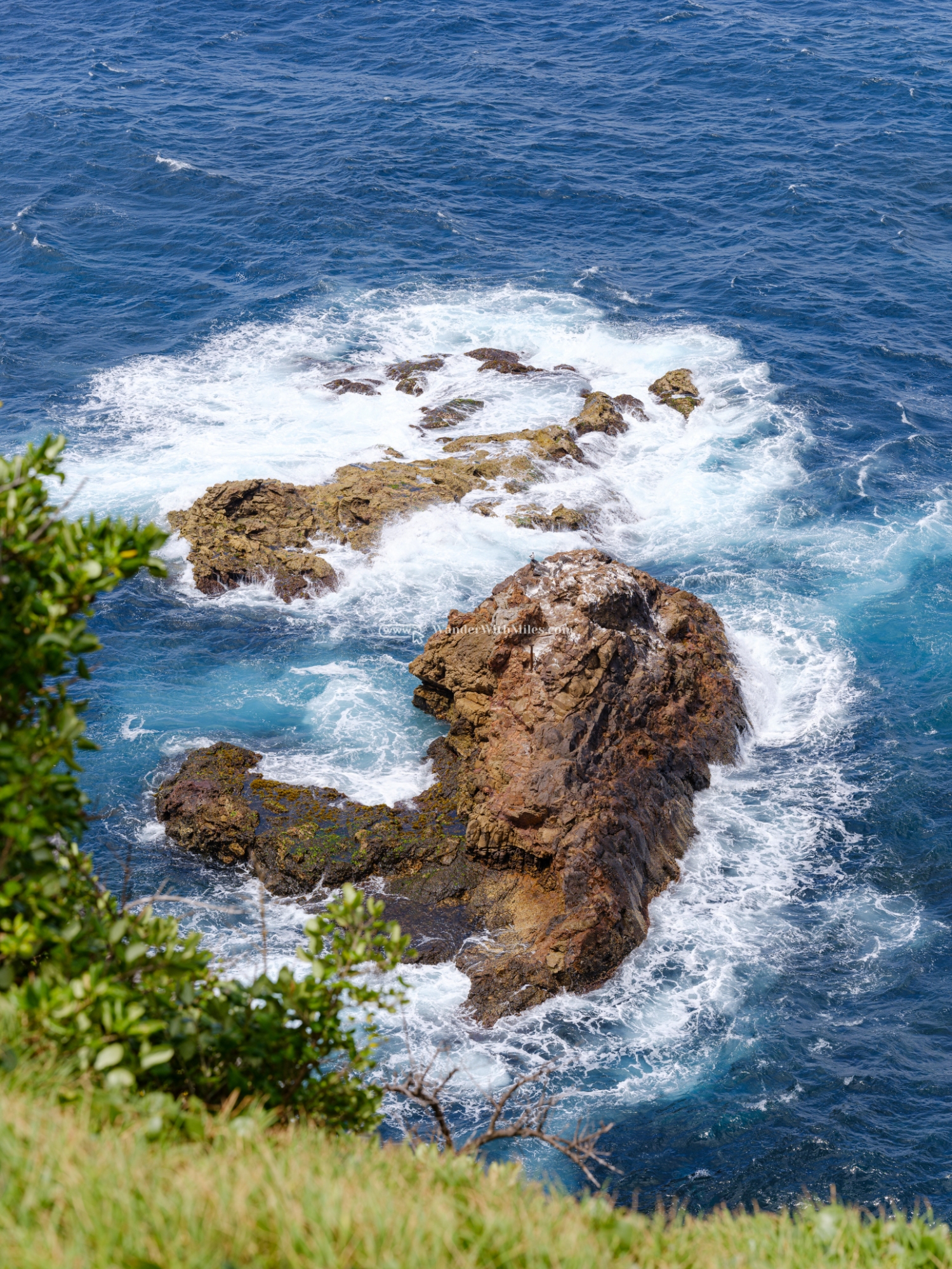 Sydney australiadscf9516