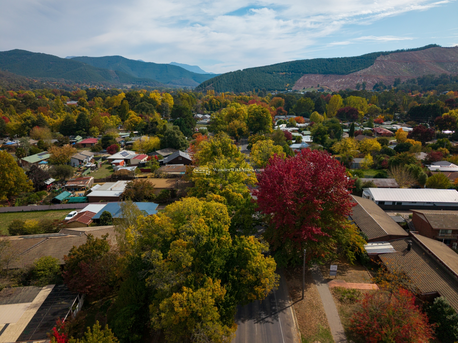 Autumn in bright victoria australia