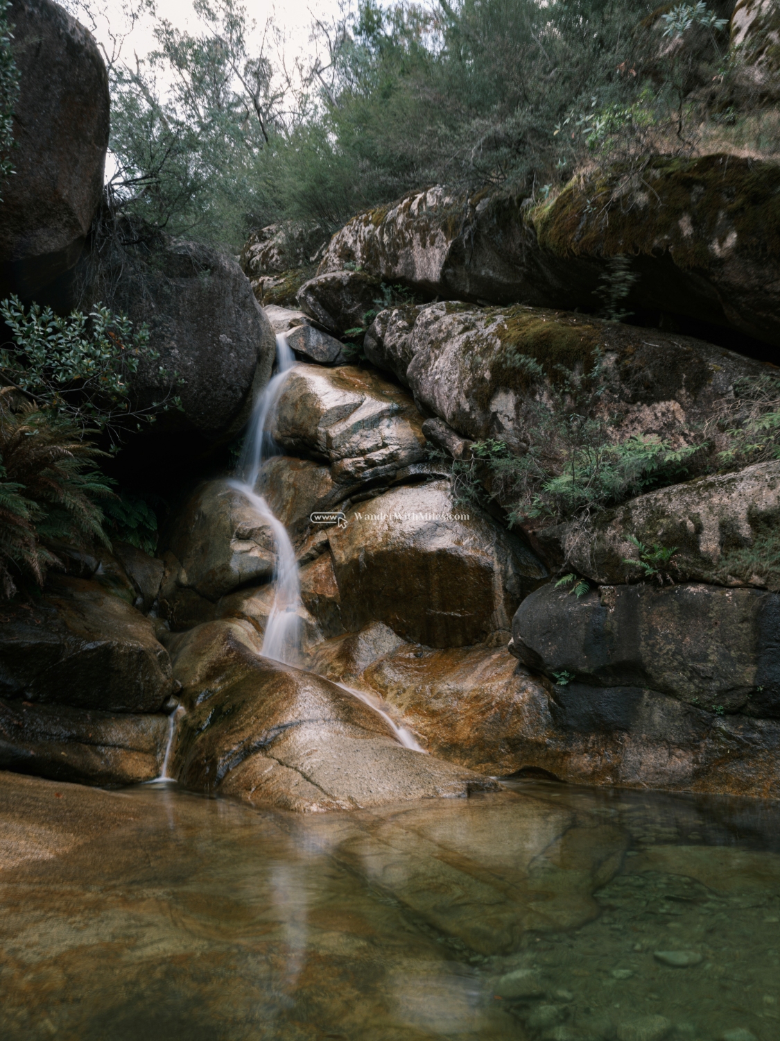 Autumn in bright victoria australia (15)