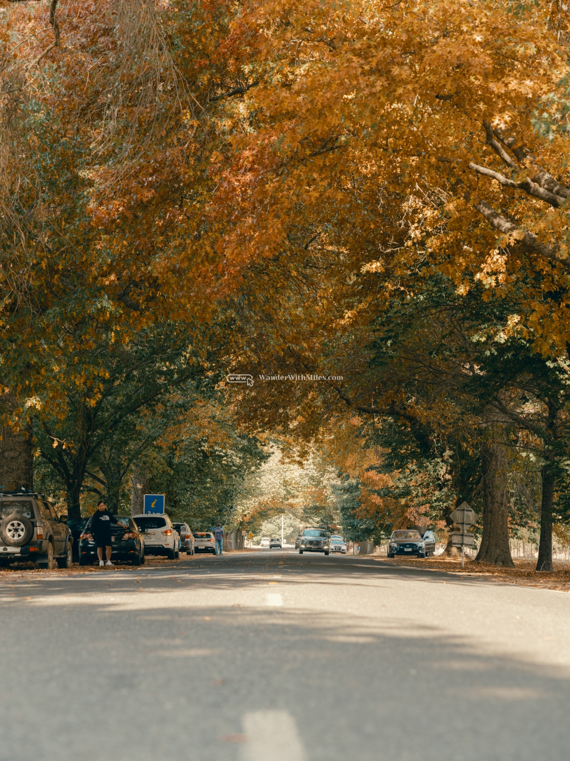 Autumn in bright victoria australia (25)