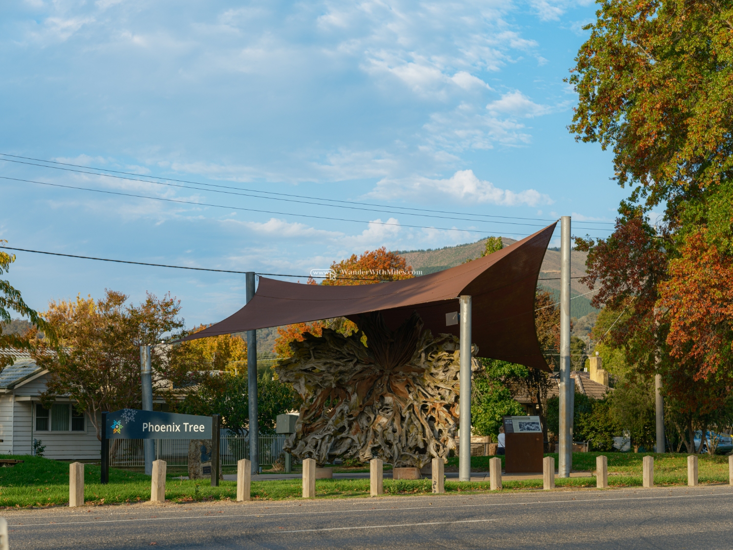 Autumn in bright victoria australia (3)