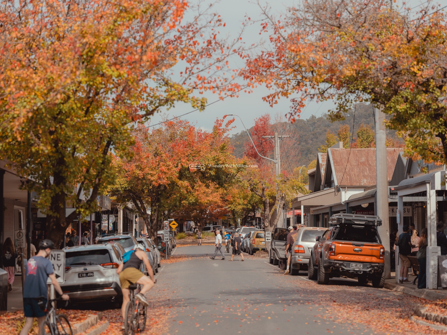 Autumn in bright victoria australia (41)