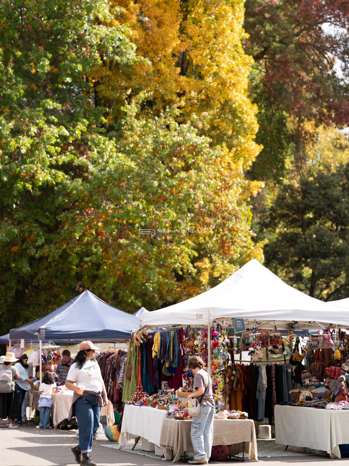 Autumn in bright victoria australia (46)