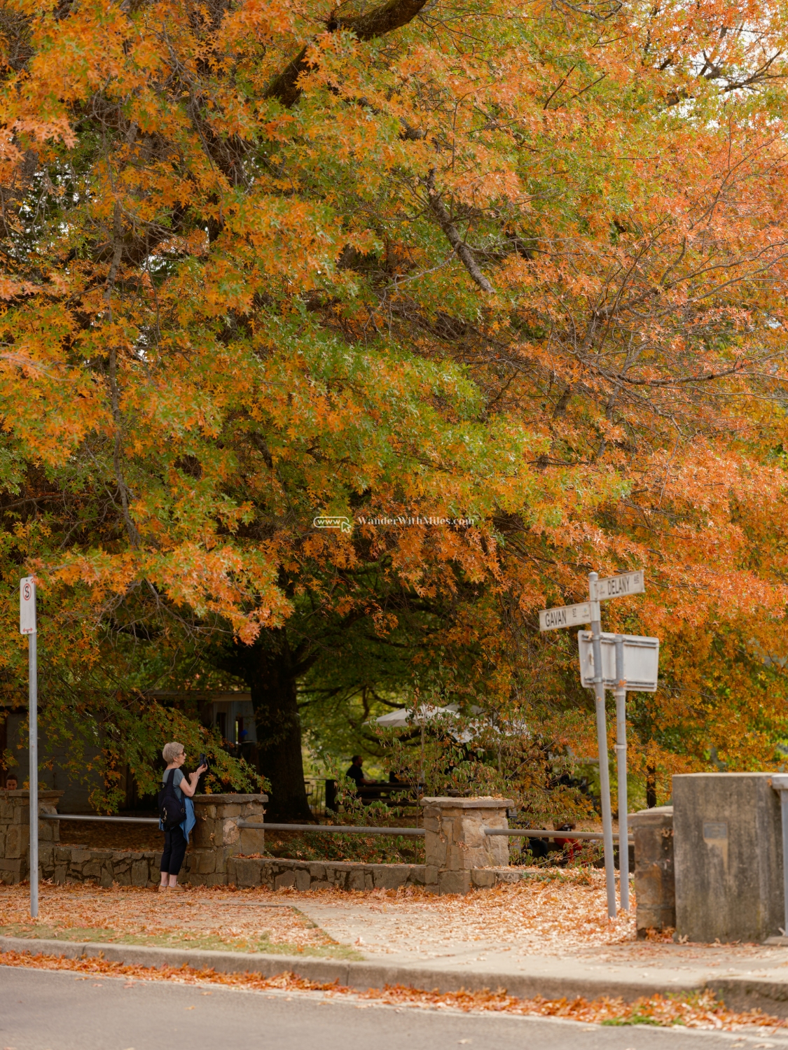 Autumn in bright victoria australia (48)