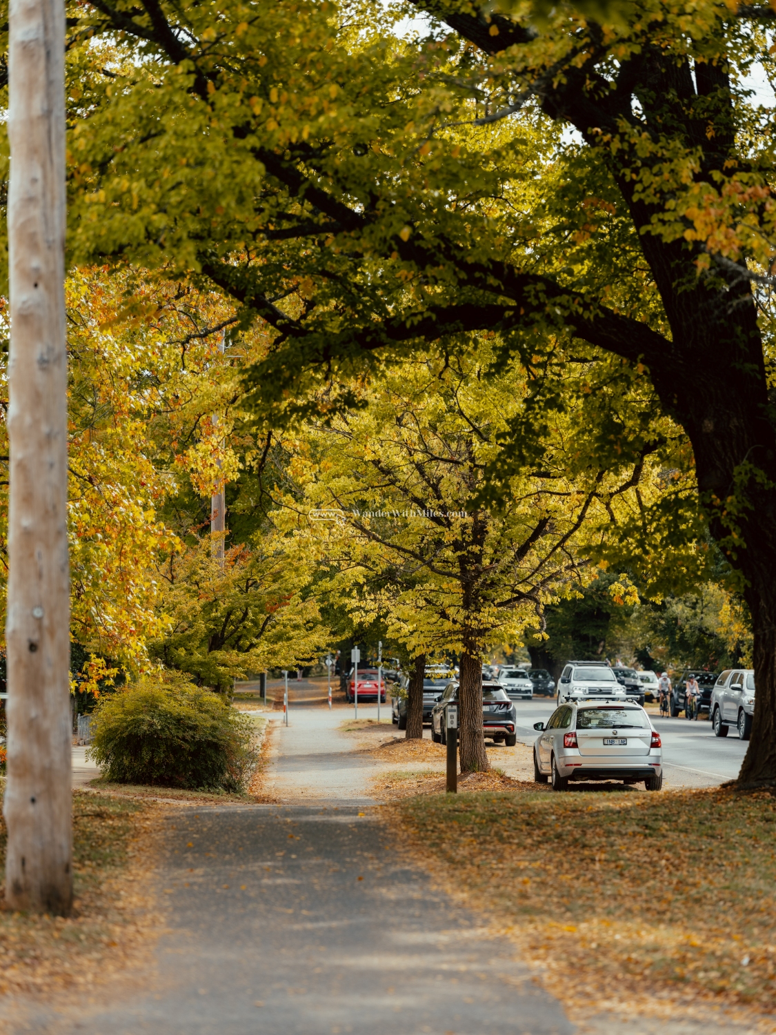 Autumn in bright victoria australia (49)