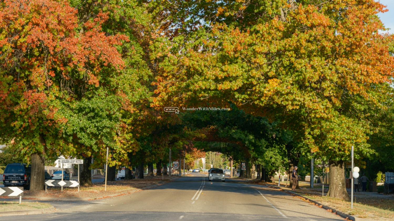 Autumn in bright victoria australia (5)