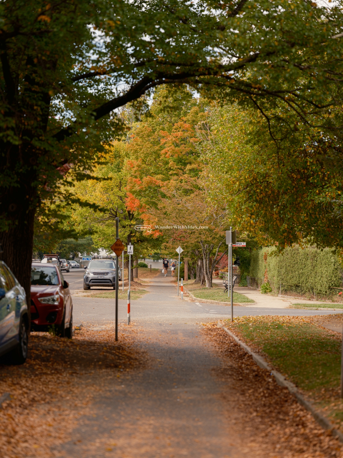 Autumn in bright victoria australia (53)