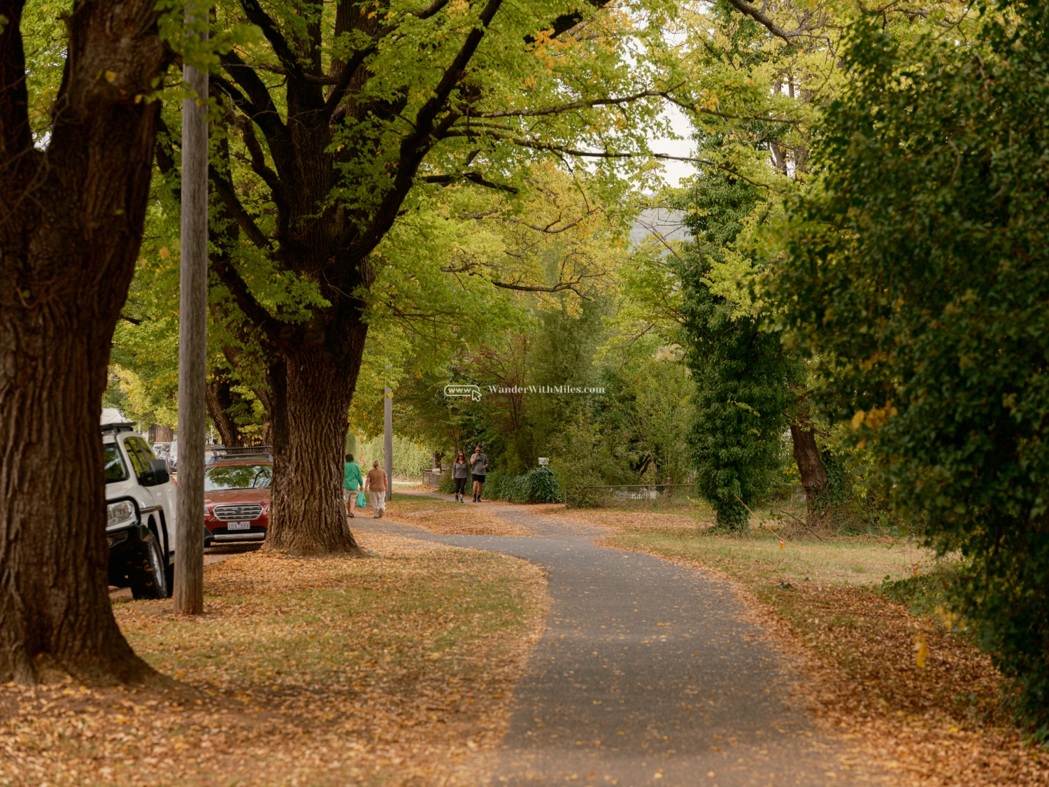 Autumn in bright victoria australia (55)