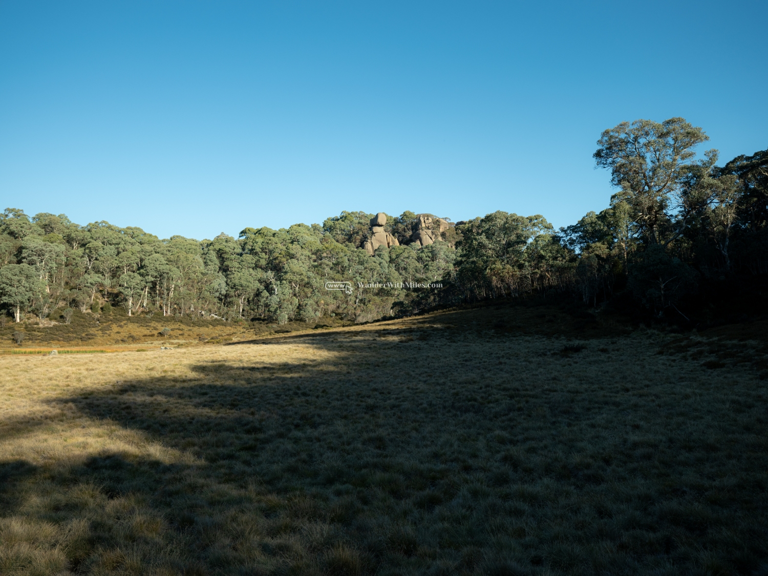Autumn in bright victoria australia (64)