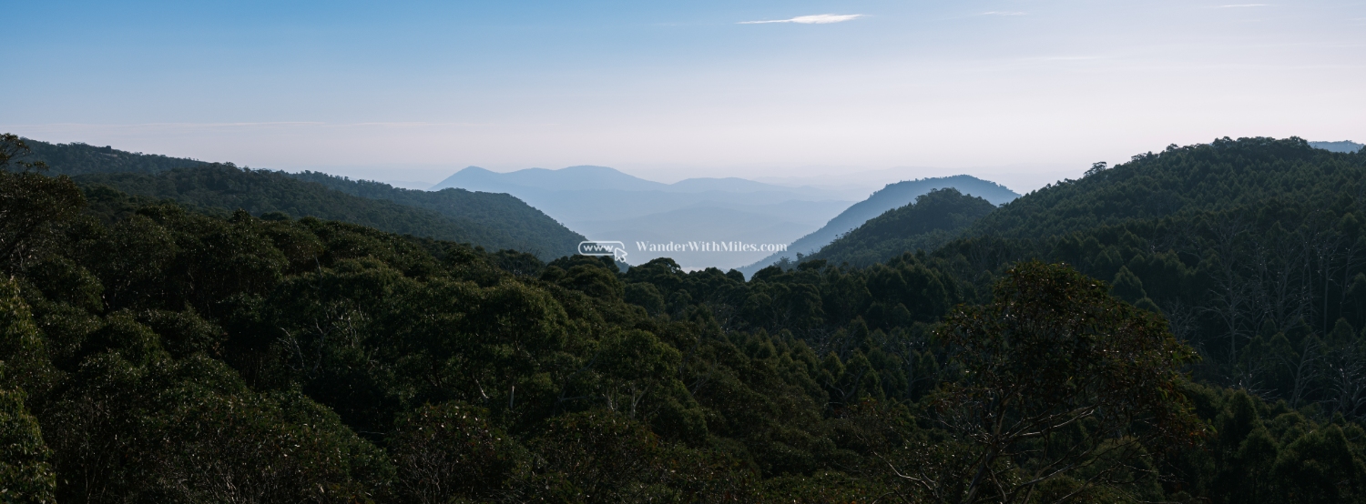 Autumn in bright victoria australia (66)