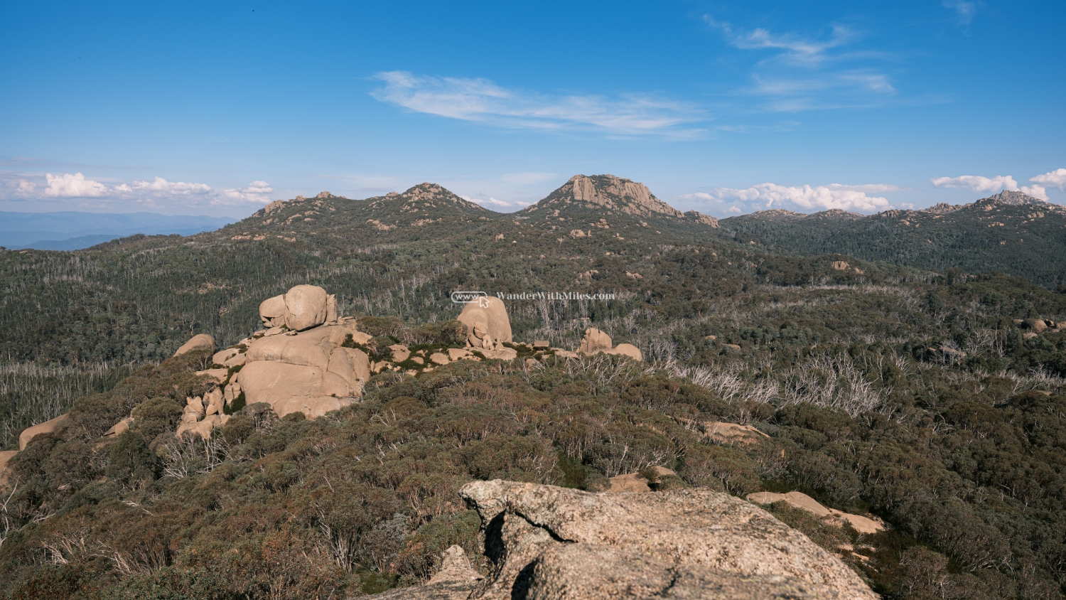 Autumn in bright victoria australia (71)