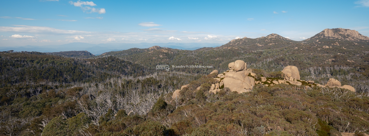 Autumn in bright victoria australia (75)