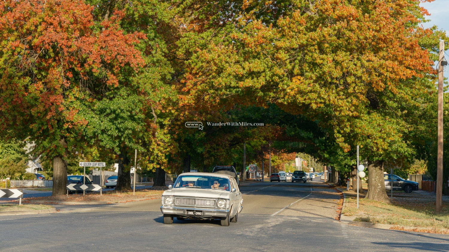 Autumn in bright victoria australia (8)