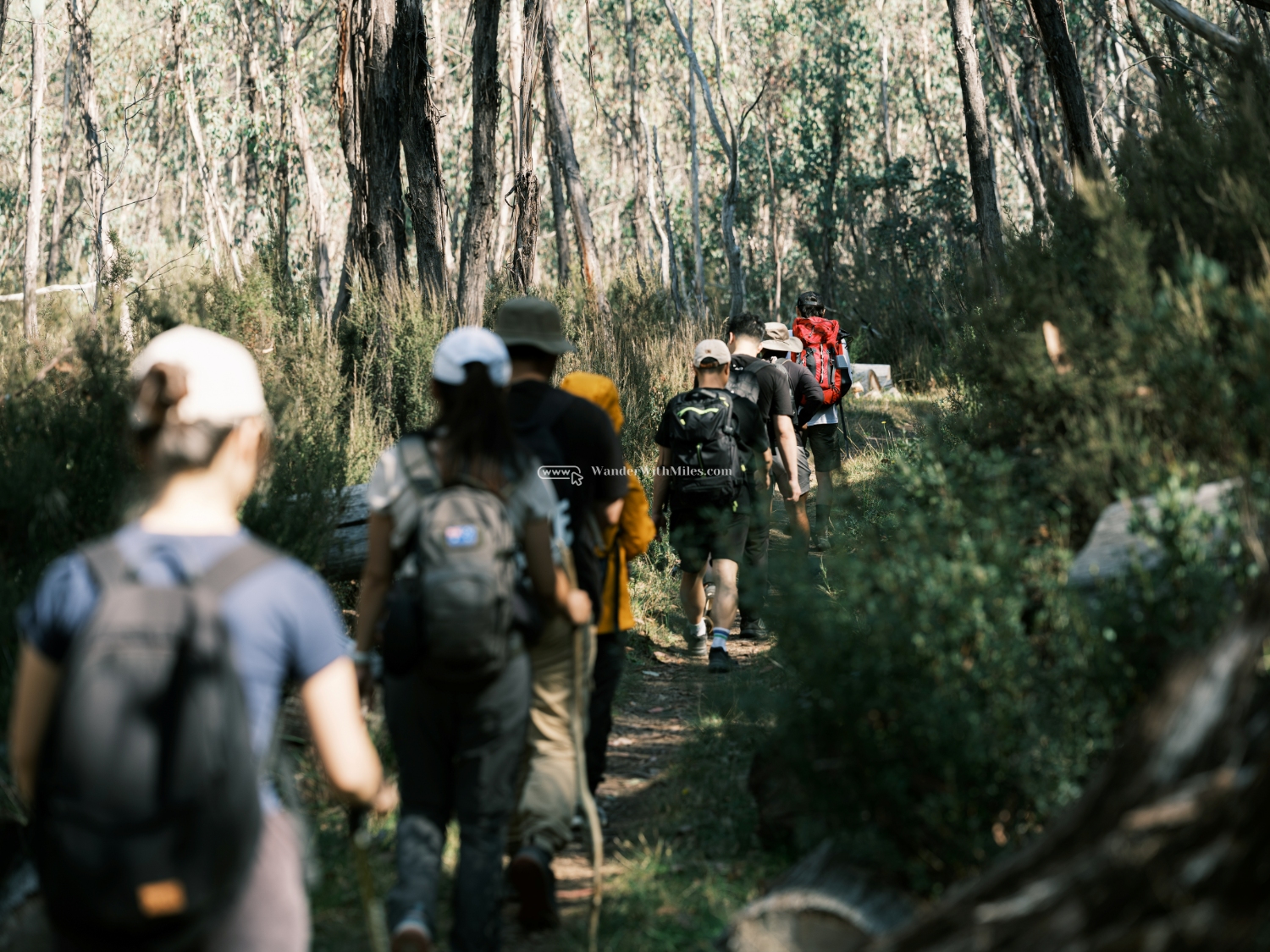 Autumn in bright victoria australia (82)