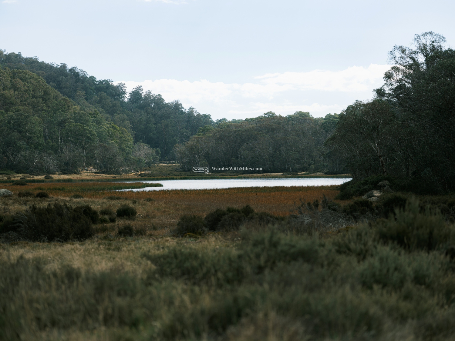 Autumn in bright victoria australia (86)