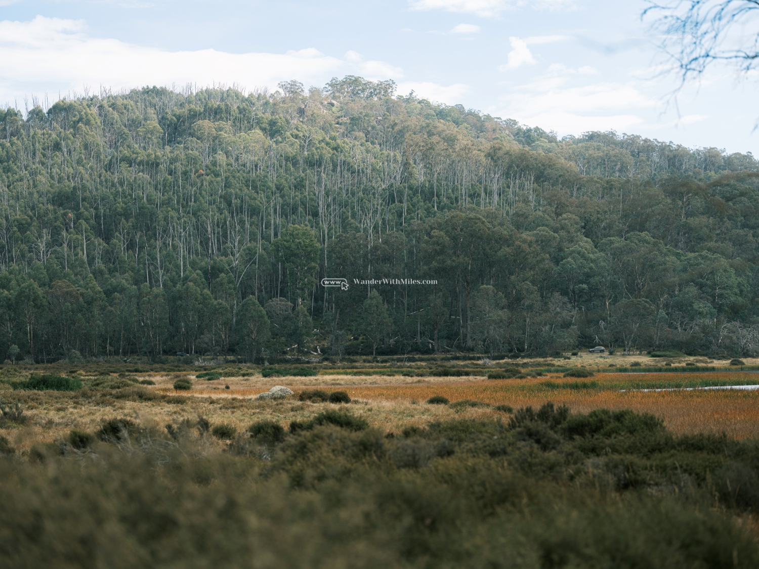 Autumn in bright victoria australia (89)