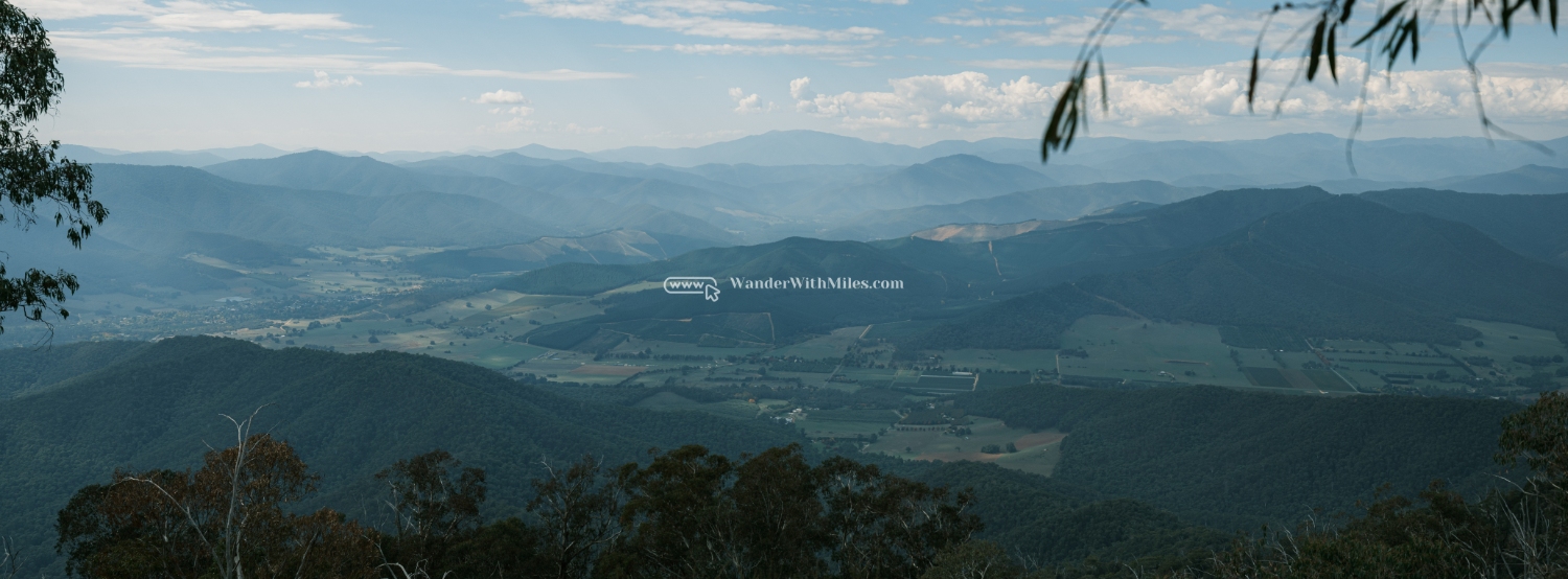 Autumn in bright victoria australia (98)