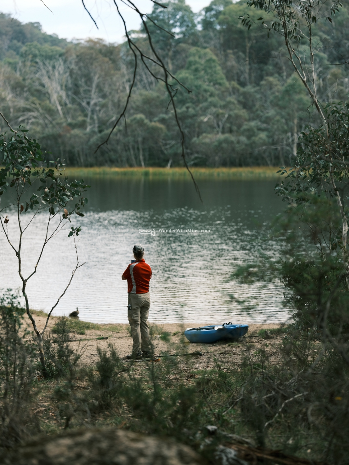 Autumn in bright victoria australiadscf3455