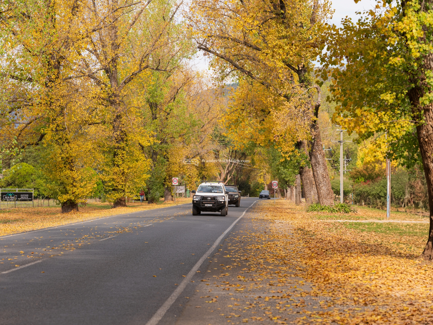 Autumn in bright victoria australiadscf9089