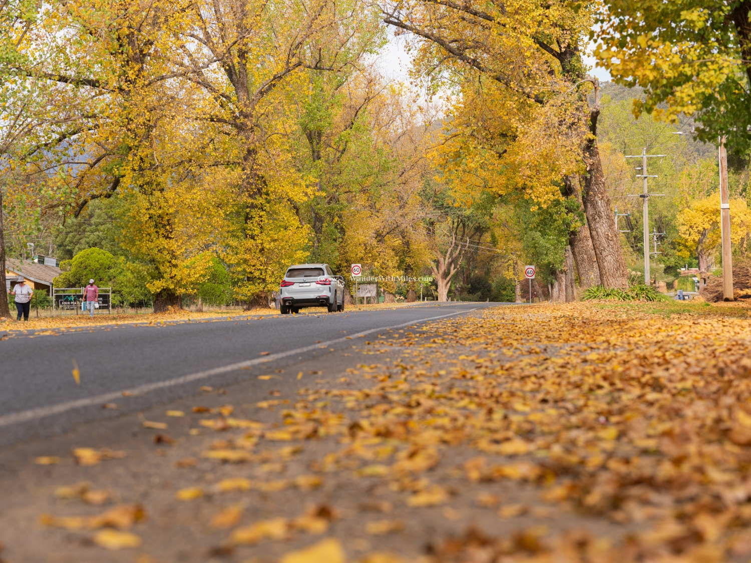 Autumn in bright victoria australiadscf9096